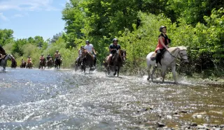 Fethiye Horse Safari - 2