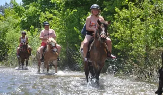 Fethiye Horse Safari - 4